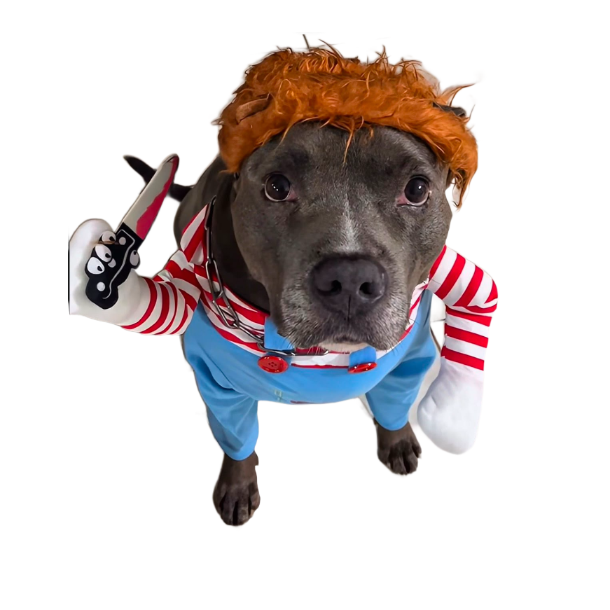 Killer Doll Suit dog costume - striped sleeves, blue overalls, toy blade